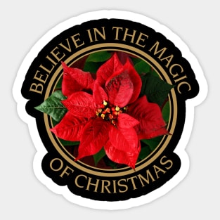 Believe in the magic Sticker